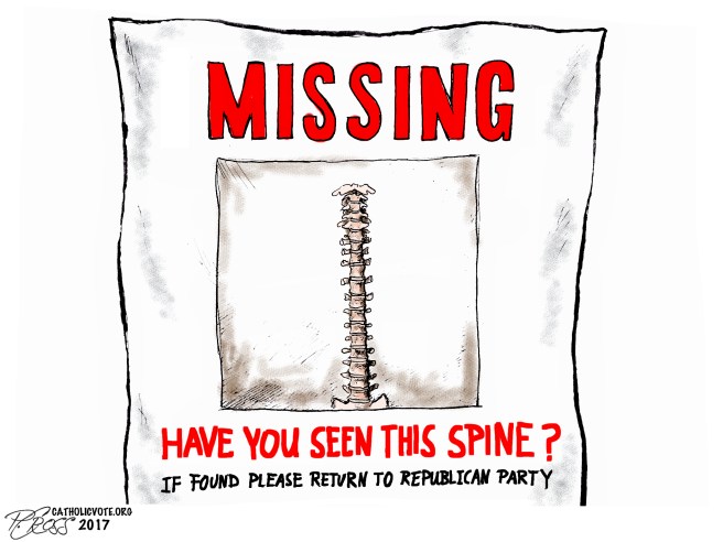 Have you seen this spine