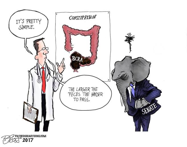 20106695_850033205153819_8565078566671435084_n