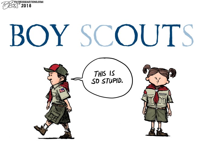 Boy Scouts final