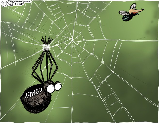 Caught in his own web