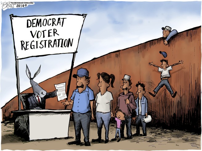 Dem Voter Registration