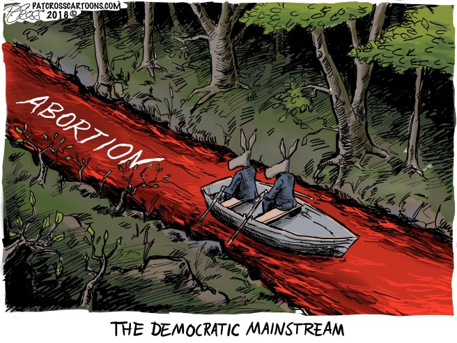 The Democrat Main Stream1
