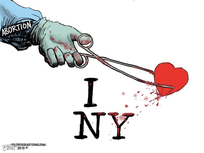 63c81cd1-b40b-4747-bc9d-4c6cc49b255f