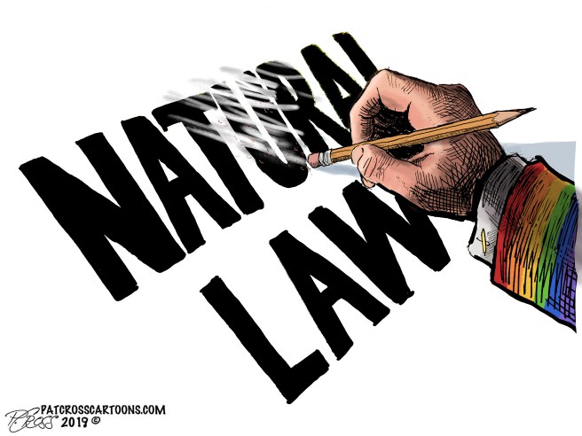 31D39542-F267-4494-BD97-96CB4CBB7DBA