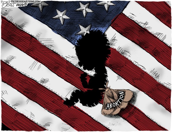 6C5FDD01-04CE-4A5D-BDCD-3E55ADCFAA5F