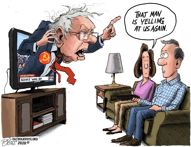 Bernie TV