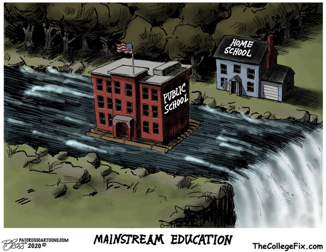 MainStream Education Flag Small