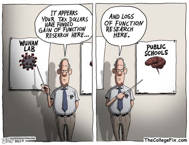 Pat Cross Cartoons | Because I enjoy Drawing, America, and a few other ...